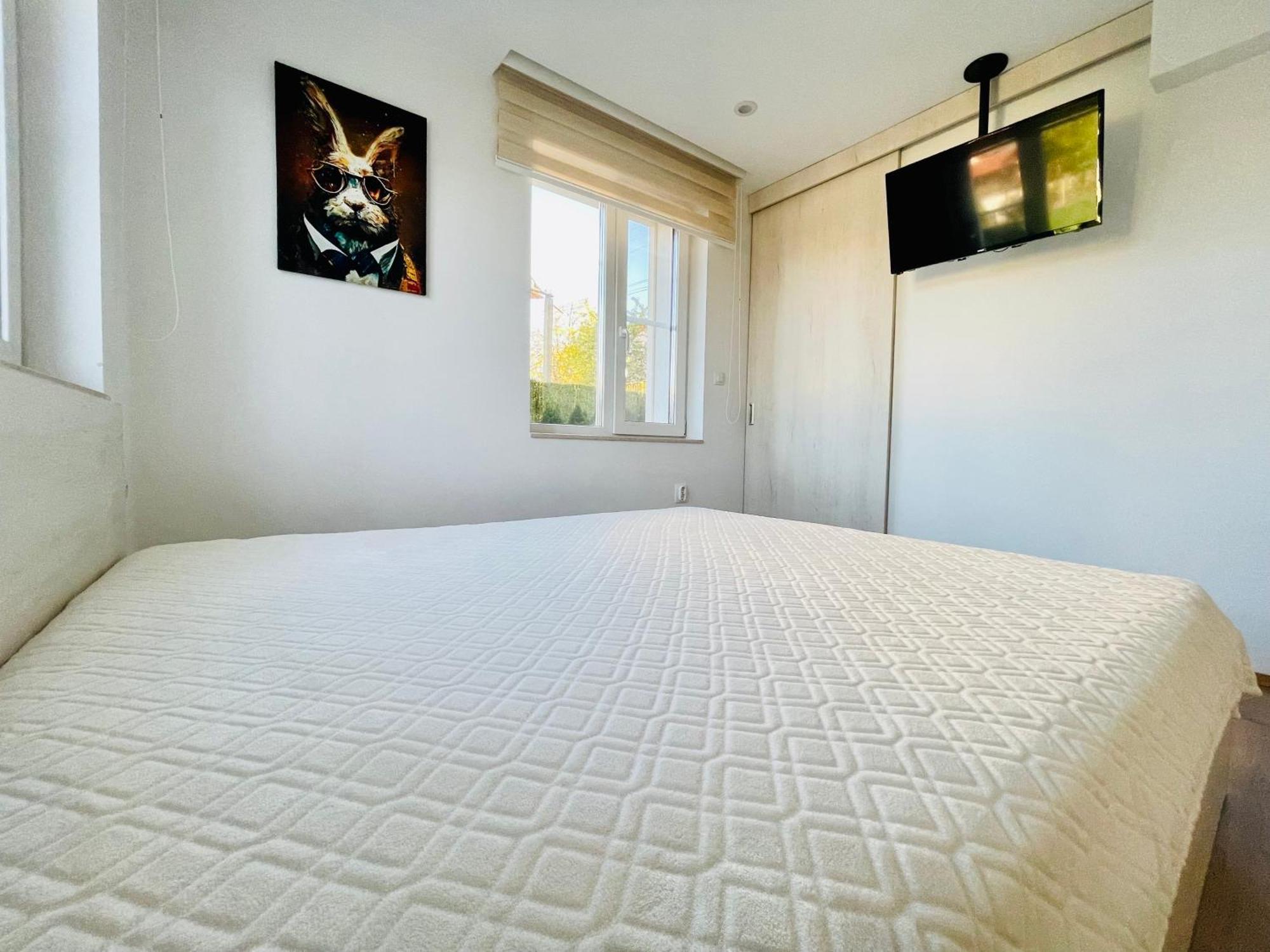 Forest Oasis Guest House Free Parking Sapareva Banya Buitenkant foto