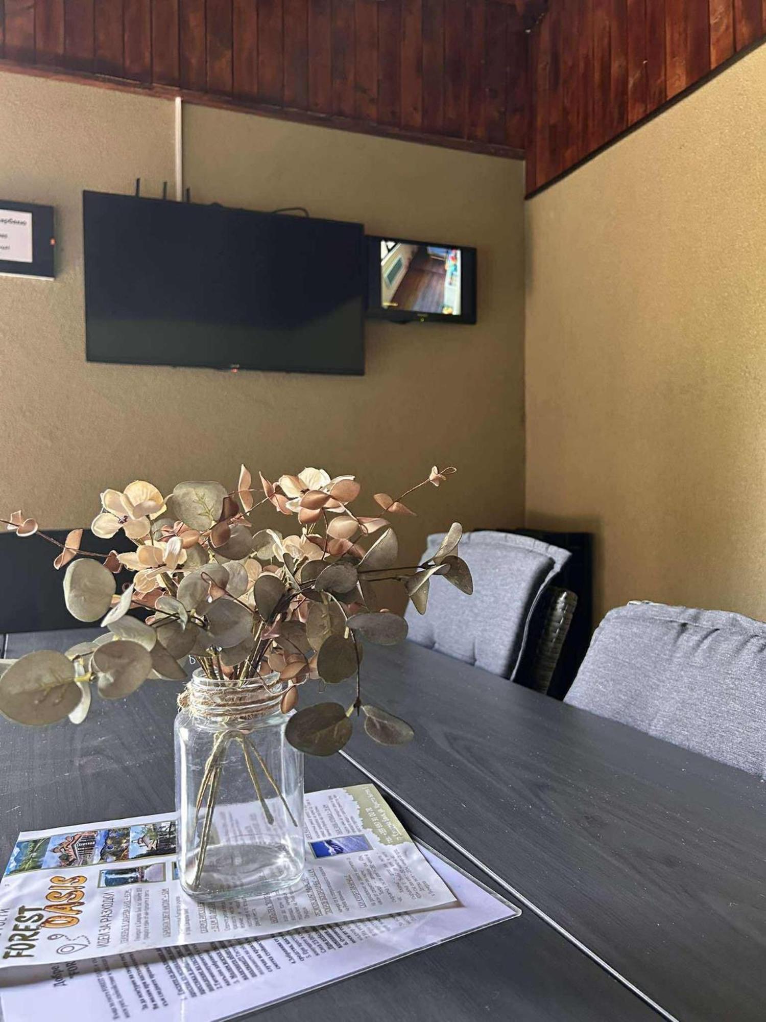 Forest Oasis Guest House Free Parking Sapareva Banya Buitenkant foto